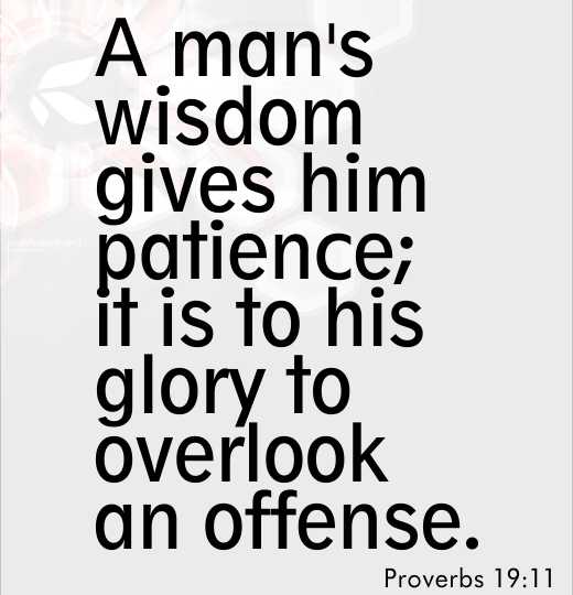 A man's wisdom gives him patience; it is to his glory to overlook an offense